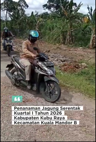 Video Berita